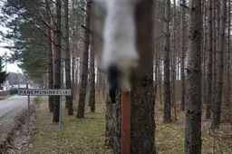 Panemuninkėliuose atliekamas ikiteisminis tyrimas dėl žiauraus elgesio su gyvūnais