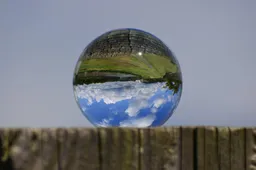 Gyvenimas aukštyn kojom