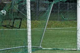 Stadione rado perpjautus vartus