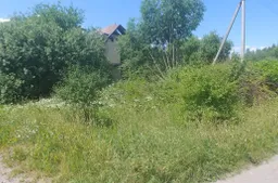 Alytaus rajono nenaudojamų sklypų savininkams gresia didesni mokesčiai