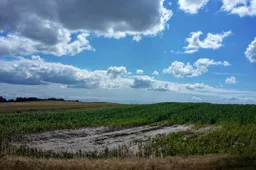 Vieni ūkininkai sėjos nepradėjo, kiti baigia