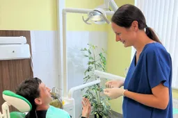 Dantų protezavimo paslaugos – ir Alytaus rajone