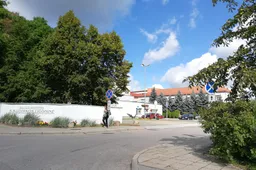 Nukrito nuo medžio, mirė atvežtas į ligoninę