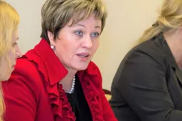 Buvusios Alytaus miesto vicemerės veiklą tikrina ministerija ir tarnybos