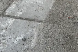 Informuoja skaitytojai : tvarkė šaligatvius Vidzgiryje ir pamiršo?