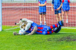 A lygos licencijos dainaviškiai turės prašyti dar kartą