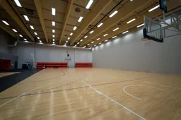 Pagrindinė Lietuvos moterų krepšinio šventė planuojama Dzūkijoje