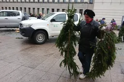 „Parsinešk Kalėdas į savo namus“ – gruodžio 19 d. visoje Lietuvoje miškininkai gyventojams dovanos eglės šakas