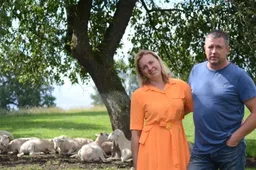Gyvenimą užsienyje iškeitė į kaimą, avių parsigabeno iš Velso