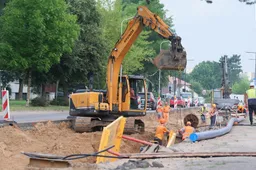 Po ekspertinio įvertinimo – komisijos rekomendacija leisti kirsti medžius Ulonų gatvėje