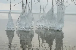 Dzūkų jūros pakrantėje – ledo skulptūros, kurias sukūrė pati gamta