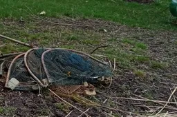 Už žvejybą Dusioje su draudžiamais įrankiais – jų konfiskacija ir baudos