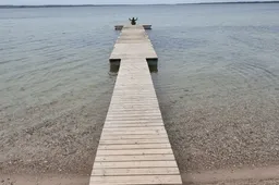 Neeilinės kelionės: pas „gelažines“ varles prie dzūkų „jūros“