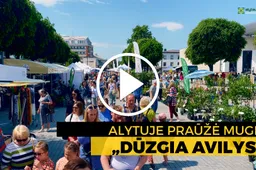 Alytuje vyko amatininkus ir tautodailininkus suburianti mugė DŪZGIA AVILYS