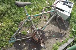 Sukčiavimo atvejų Alytaus apskrities policijos prižiūrimoje teritorijoje nemažėja, kai kurių vagysčių skaičius auga