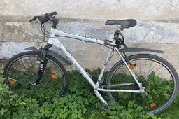 Prašo atsiliepti rasto dviračio savininką