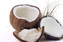 Ką reikėtų žinoti apie džiovintus kokosus?