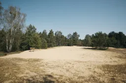 Kaip Dzūkijoje atkuriamos kopos?