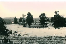 Dzūkijos kraštovaizdyje – žemyninės kopos