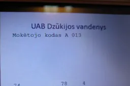 Vandens neturės Kaštonų, Likiškėlių, Statybininkų ir Jurgiškių gatvių kai kurių daugiabučių gyventojai