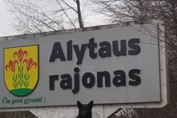 Sudarytas nenaudojamų, apleistų sklypų sąrašas