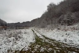 Tvarkoma Punia ir Nemuno pakrantė prie piliakalnio