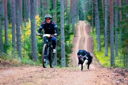 Šunų kinkinių sporto taurės pirmasis etapas Alytuje kvies į Vidzgirio draustinį