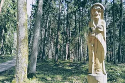 Punios šilas – būti ar supūti?