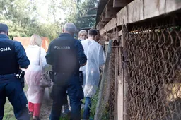 Už žeminančius komentarus – piniginė bauda