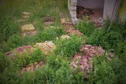 Nuo smarvės buvusioje turgavietėje prie Alytaus gelbėjo apsauginės kaukės