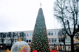 Rastas prie eglutės pamestas „Vodafonas"