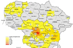 Alytaus mieste – 3 sergantieji tymais, rajone – 0