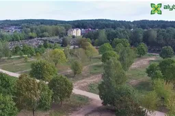 Prie I Alytaus kapinių neliko metalinių garažų, čia kuriamas kolumbariumas