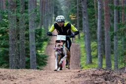 Šunų kinkinių sporto entuziastai varžysis Dzūkijos sostinėje
