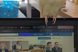 Sąmoningas atsitraukimas iš socialinių tinklų populiarėja: kaip išsitrinti paskyrą