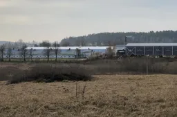 Paukštynai per karantiną apsukų nemažino