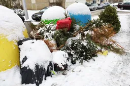 Kur dėti šventines eglutes Alytuje?