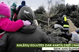 Alytiškiai atsisveikino su Kalėdų eglutėmis