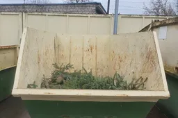 Nupuoštos eglutės surenkamos visuose rūšiavimo centruose