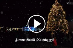 Kalėdos Simne: įžiebta pirmoji šių metų Kalėdų eglė Alytaus rajone
