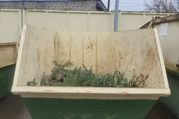 Nupuoštos eglutės priimamos visuose rūšiavimo centruose