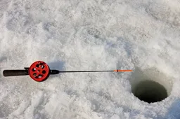 Nemuno upėje Alytuje sulaikyti asmenys, žvejoję draudžiamu būdu