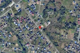 Alytuje tvenkinyje rastas vyro kūnas