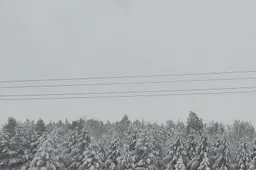 Elektros tinklų gedimų dėl sniego Alytaus regione pagausėjo