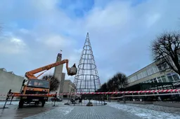 Kur ir kada sužibs eglutės Dzūkijoje?