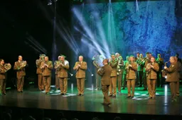 Kas laimės kultūros nominaciją: „Com-moon-a“, „Dzūkiškas jomarkas“ ar T. Nikulinas?