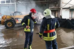 Meras N. Cesiulis: „Miegokite ramiai...“