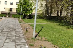 Matėte, kas dviračiu partrenkė senolę?