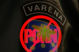 Sulaikytas policijos tyrėjas