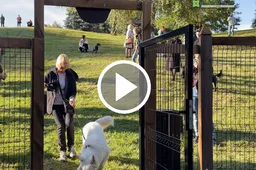 Jaunimo parke atidaryta keturkojams dresuoti skirta aikštelė